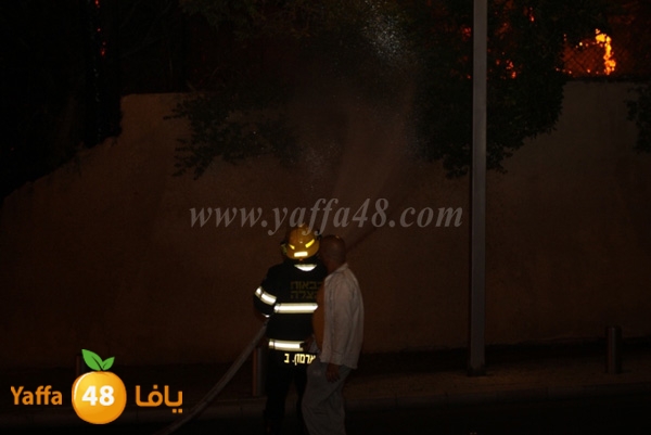 fire minas2 sterer (17).JPG